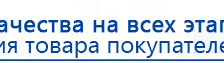 Электроды Скэнар -  двойной овал 55х90 мм купить в Люберцах, Электроды Скэнар купить в Люберцах, Скэнар официальный сайт - denasvertebra.ru