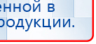 Электроды Скэнар -  двойной овал 55х90 мм купить в Люберцах, Электроды Скэнар купить в Люберцах, Скэнар официальный сайт - denasvertebra.ru